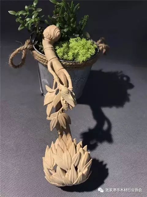 黃楊木雕用的哪種黃楊_什么是黃楊木雕_黃楊木雕價值