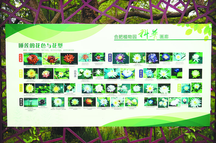 墻面浮雕畫怎么贊美_墻面浮雕畫_墻面浮雕畫圖片