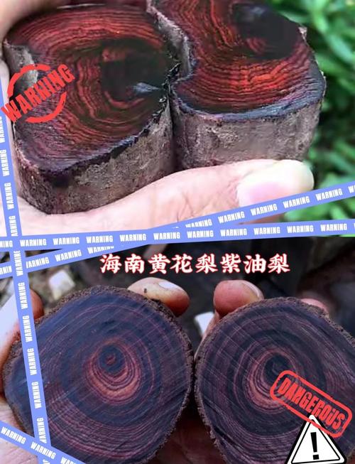 名貴木材有哪些_木材珍貴排行_木材的名貴排名
